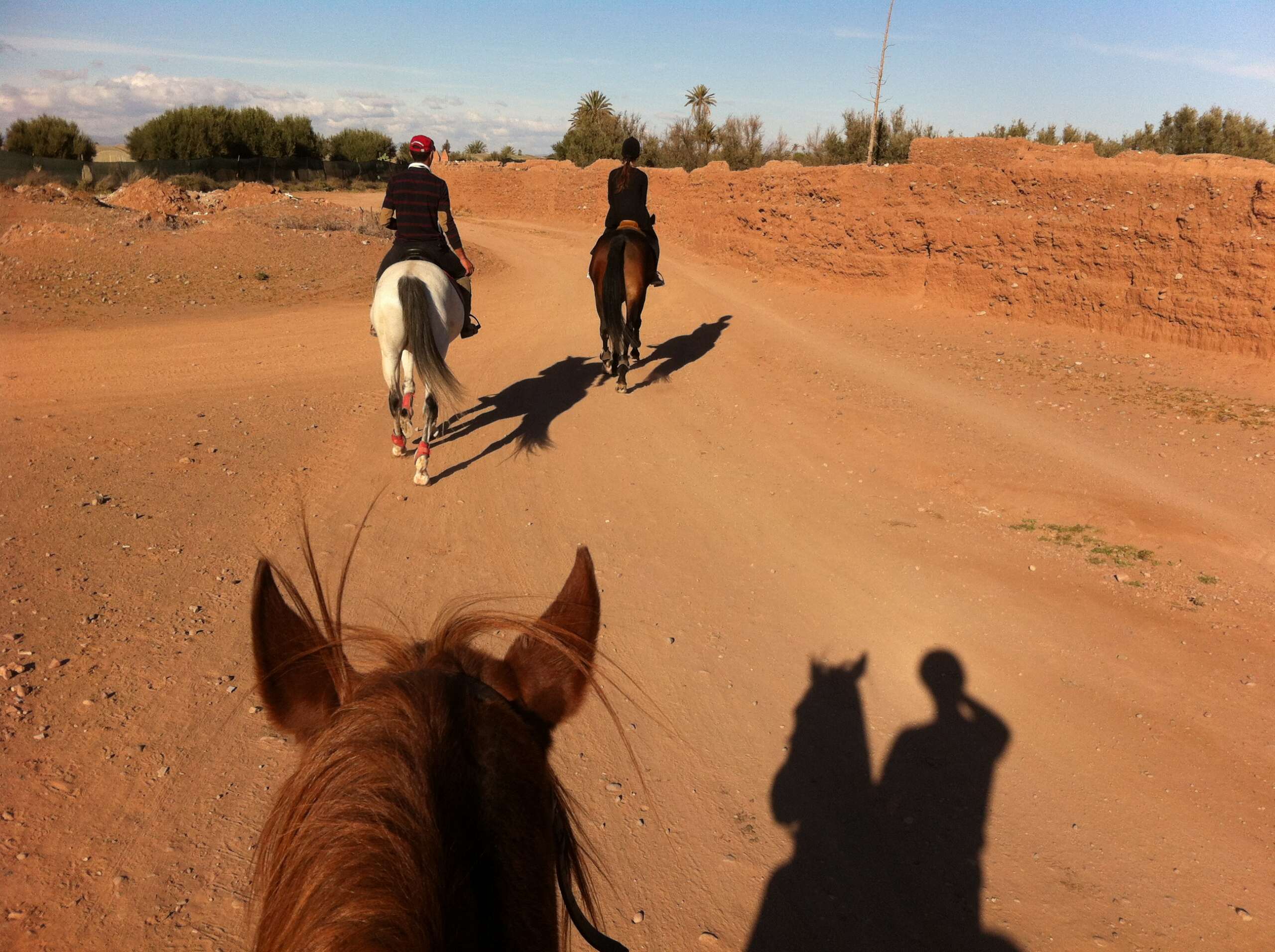 balade à cheval marrakech