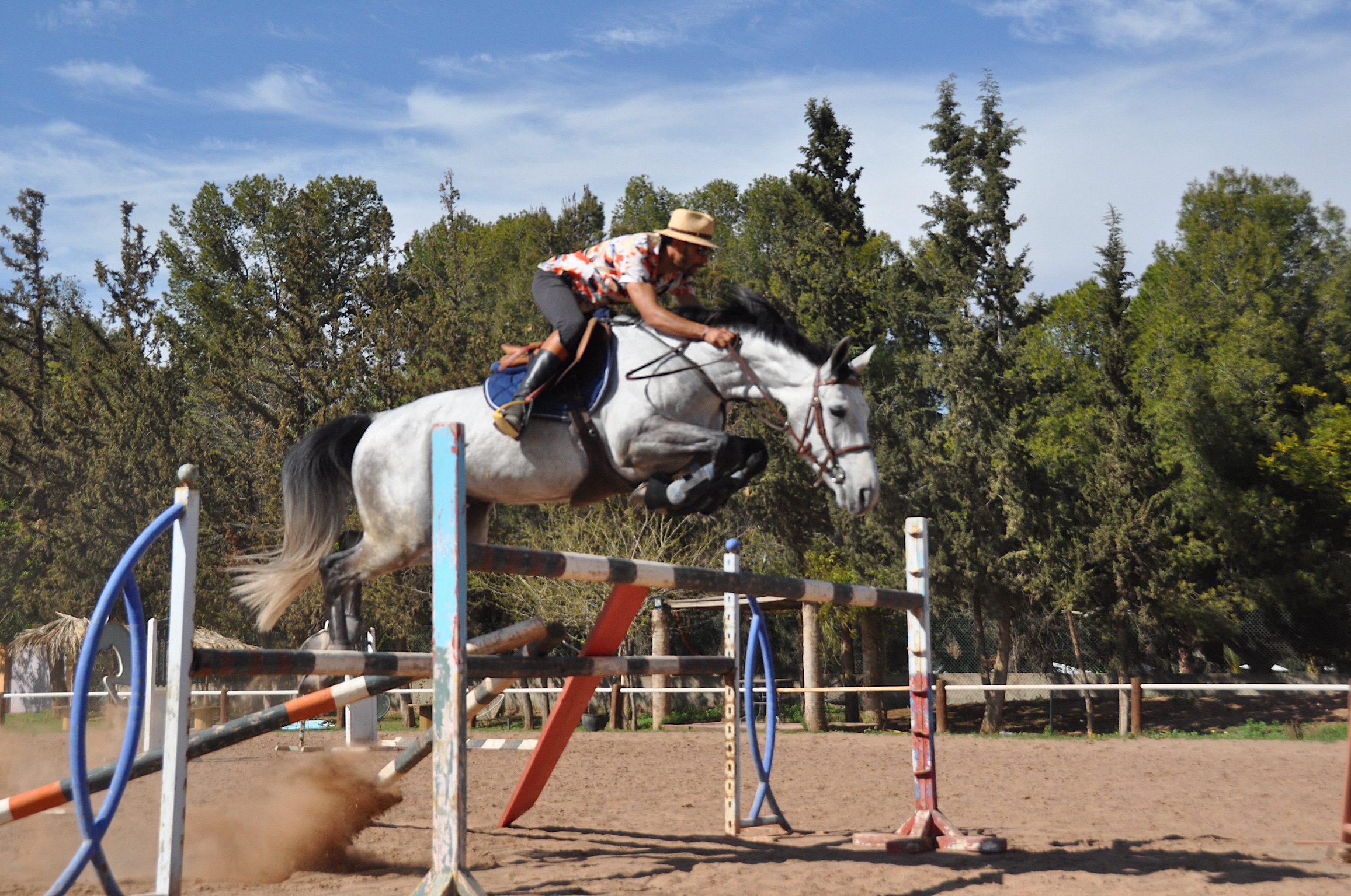 équitation marrakech