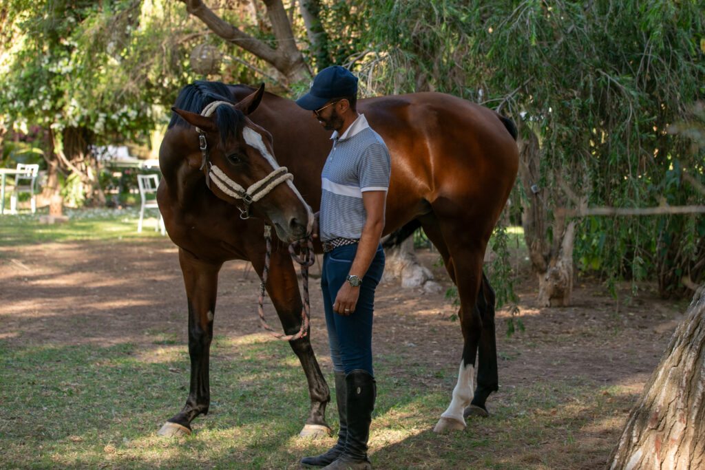 cso marrakech Equi-Z