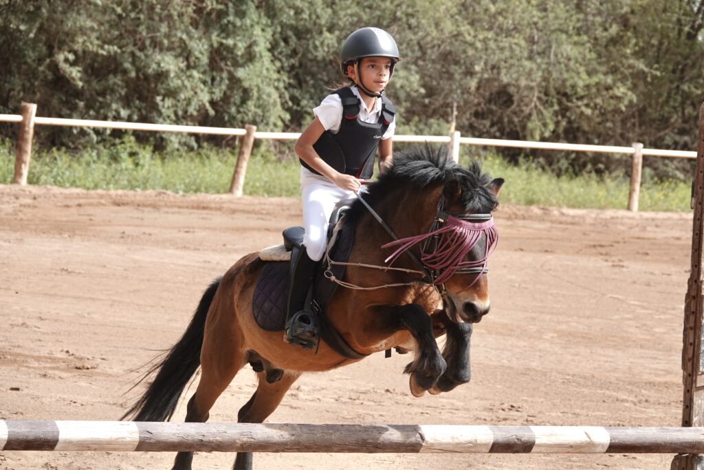 COURS PONEY A EQUI-Z
