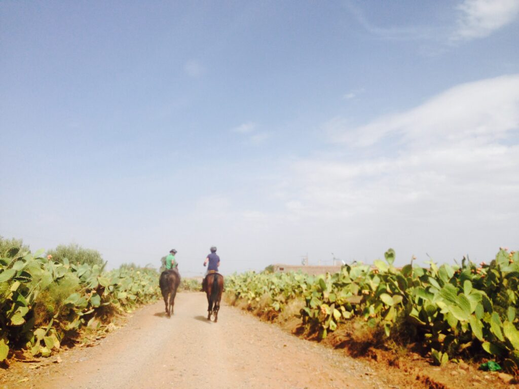 Balade à cheval Equi-Z