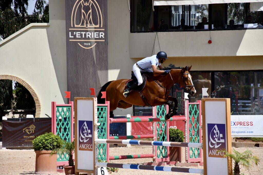 Doha de Feyele Z CSO équi-Z