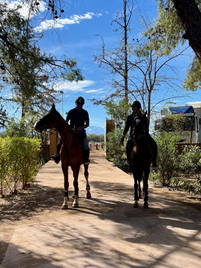Stage d'équitation à la Vie en Rose Equi-Z Marrakech
