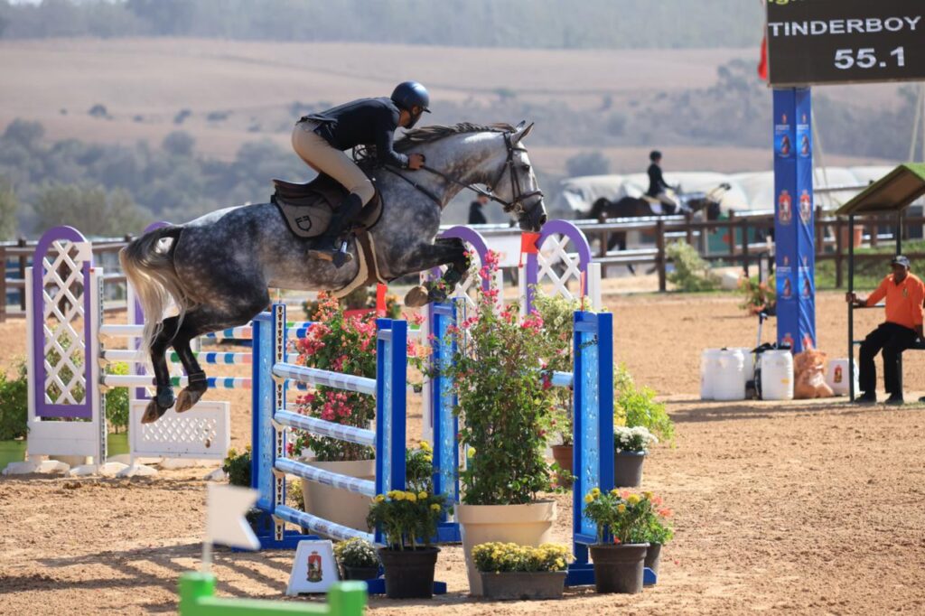 CSO Marrakech Tinderboy de Muse - Equi-Z