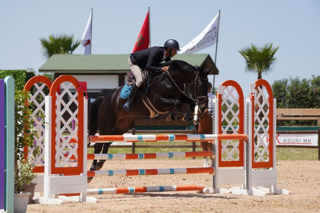 Concours Jeunes chevaux 5 ans - Equi-Z Marrakech