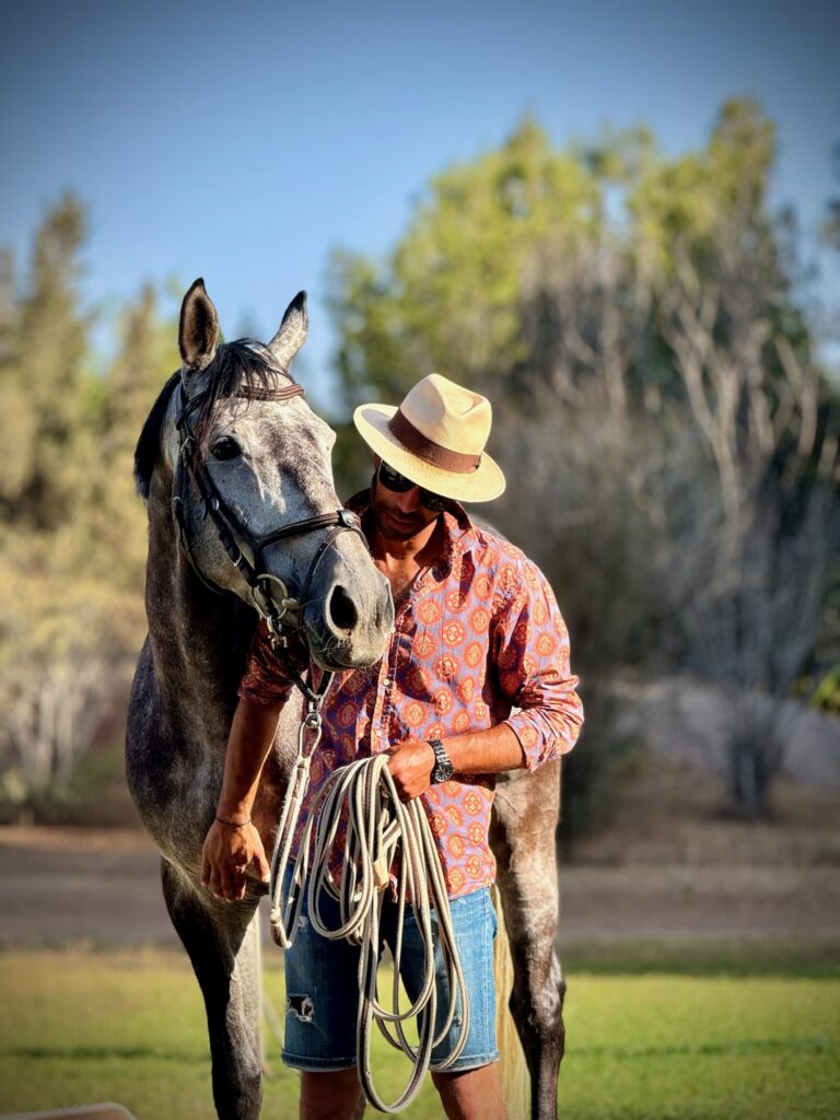 Equi-Z : une méthode respectueuse pour la formation des jeunes chevaux.
