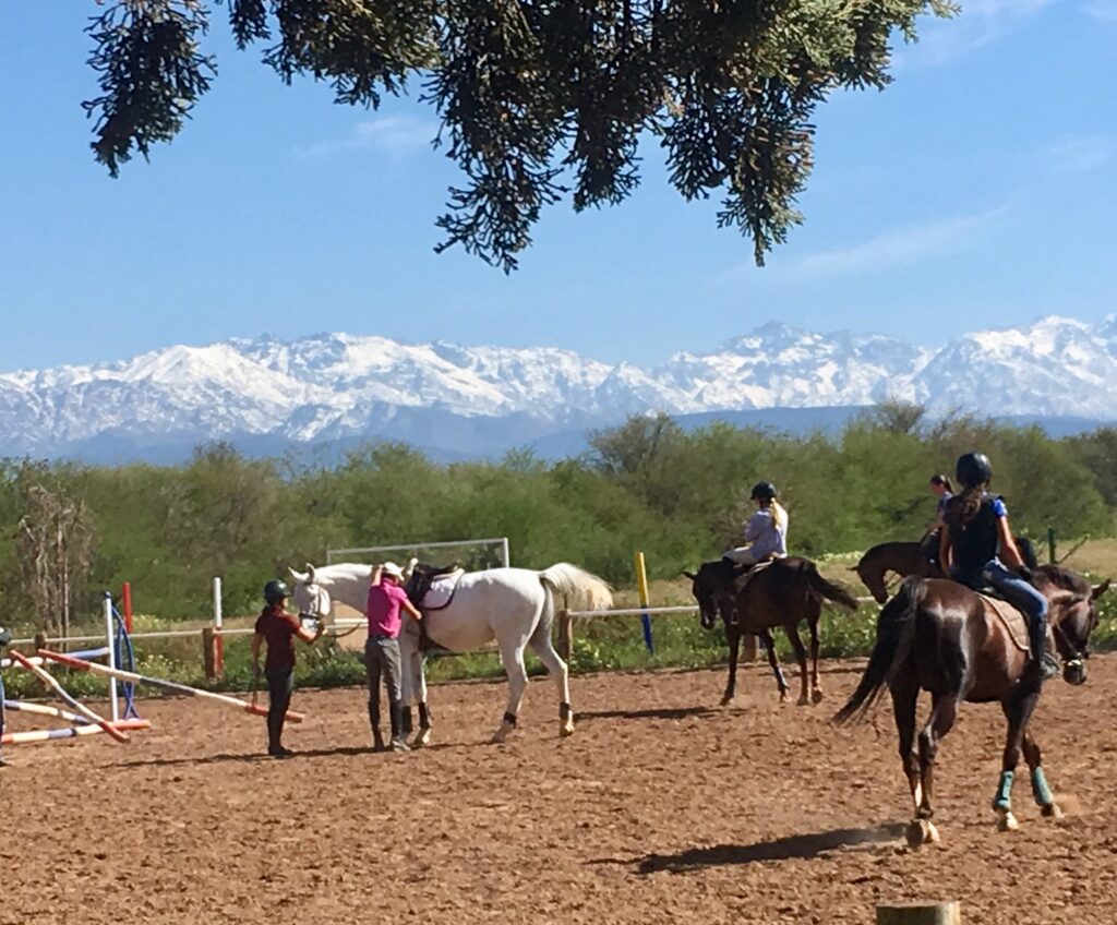 Cours d'équitation à Equi-Z Marrakech
